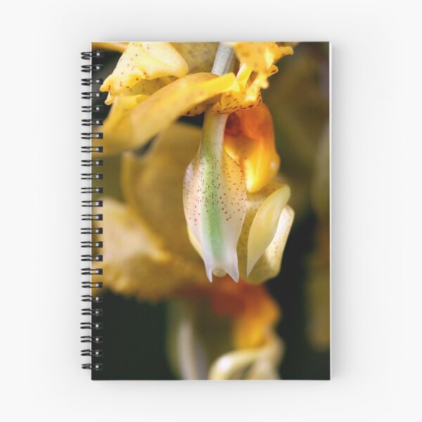 Artikelvorschau, Exotic Guest entworfen und verkauft von SmoothBreeze7 | Liz Collet Photography.