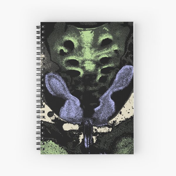Dirty Windows Spiral Notebook