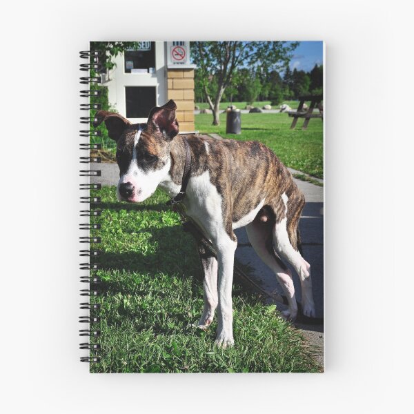 Artikelvorschau, Broken...but not broken entworfen und verkauft von SamTheCowdog.