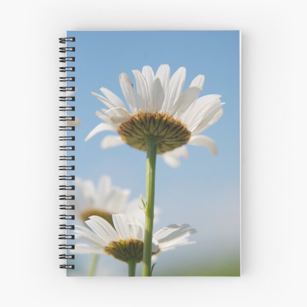 Artikelvorschau, white on white entworfen und verkauft von Lynn McCann.