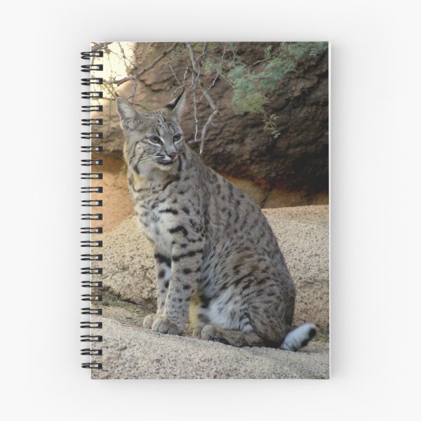 Item preview, Bobcat designed and sold by Luck of the Shutter.