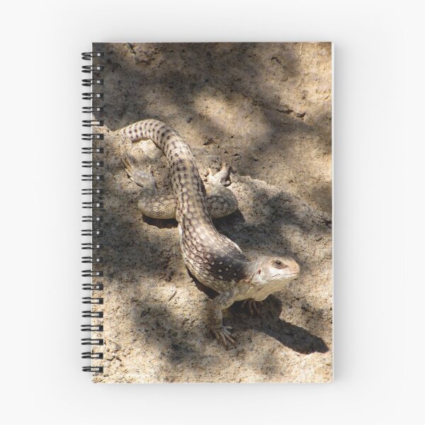 Item preview, Desert Iguana designed and sold by Luck of the Shutter.