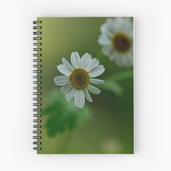 Item preview, Feverfew designed and sold by George Swann.