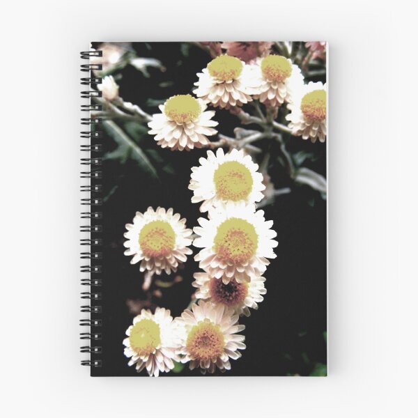 Item preview, Not quite Daisies designed and sold by Mudgers.