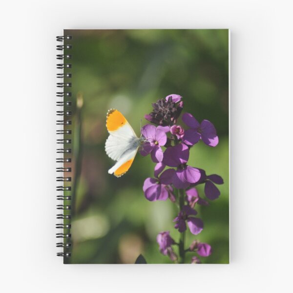 Item preview, Purple Orangetip designed and sold by SCreary.