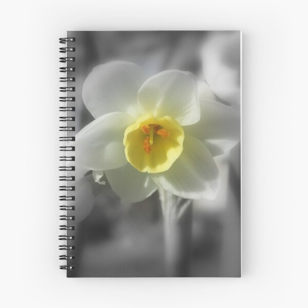 Item preview, Jonquils designed and sold by wyvernsrose.