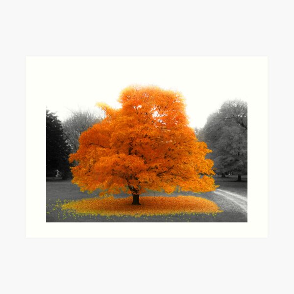 today i shall be radiant Art Print