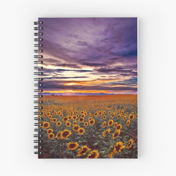 Item preview, The End Of The Day designed and sold by John  De Bord Photography.