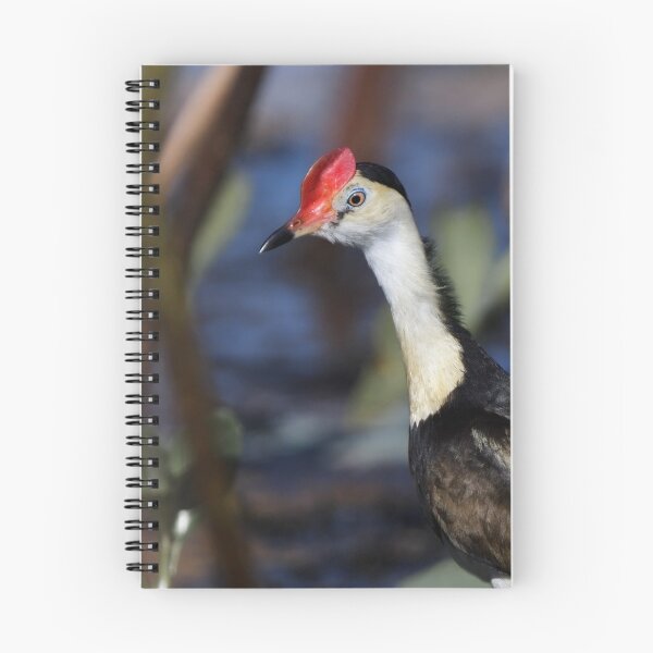 Item preview, Comb-crested Jacana designed and sold by Jeremy Weiss.