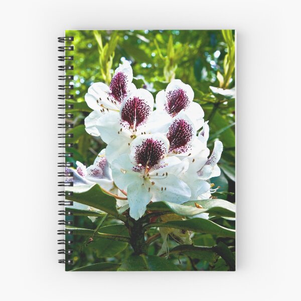 Item preview, Speckled Rhodie designed and sold by Trevor Kersley.