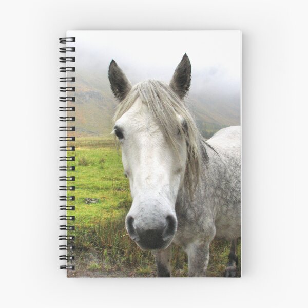 Item preview, Horse in Glen Clova designed and sold by Ellis Lawrence.