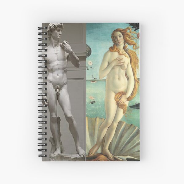 Virtual Meeting of David and Aphrodite  #Virtual #Meeting #David #Aphrodite  Spiral Notebook