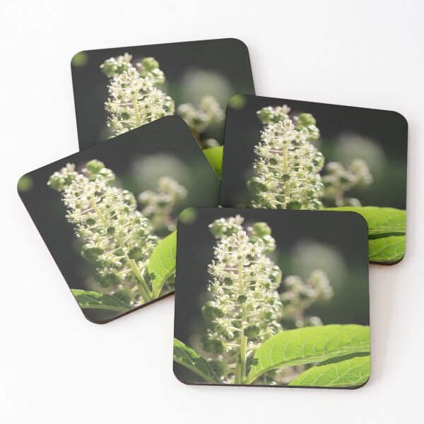 Item preview, Beautiful White Phytolacca Pokeweed Flowers designed and sold by Imladris01.