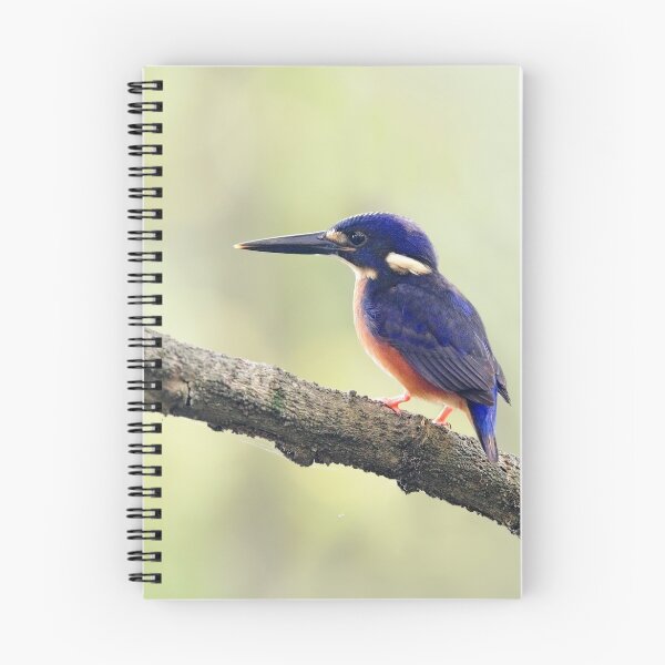 Artikelvorschau, Azure Kingfisher entworfen und verkauft von Jeremy Weiss.