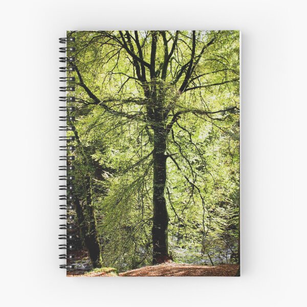 Item preview, Sunlit Tree designed and sold by Ellis Lawrence.