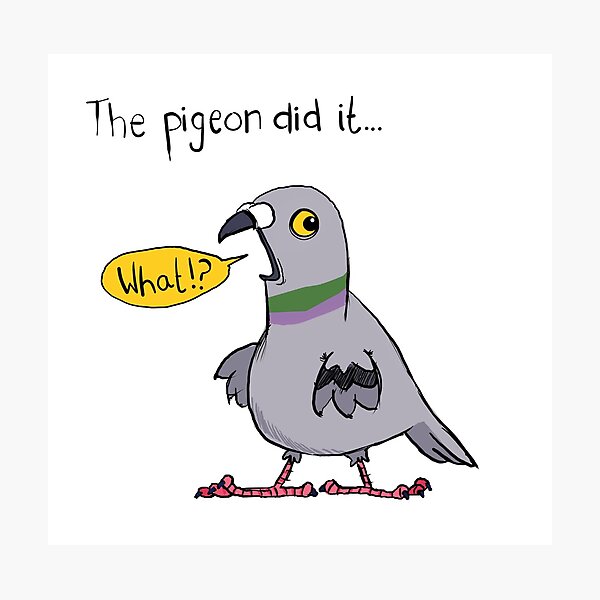 Stinky Pigeon Bird Cartoon Funny Blame Kids Silly Photographic Print