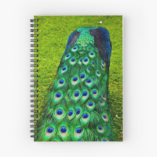 Item preview, Royal Peacock Trail designed and sold by Dottie.