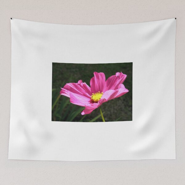 Item preview, Pink Cosmos designed and sold by Portraits, Figures & Wildlife.