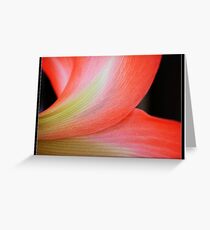 Waist! Greeting Card