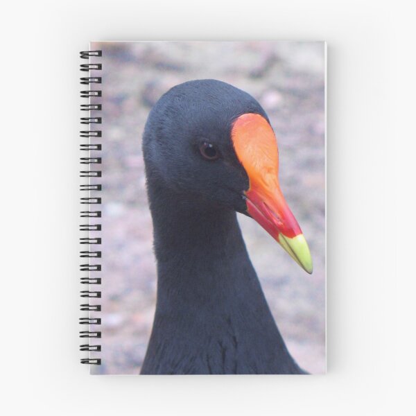 Item preview, Dusky Moorhen designed and sold by bluegumbill.