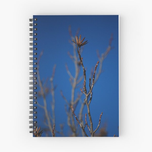 Item preview, Winter Blues designed and sold by Jenni Greene.