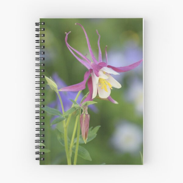 Item preview, Close-up of the Violet Columbine designed and sold by B.L. Thorvilson.