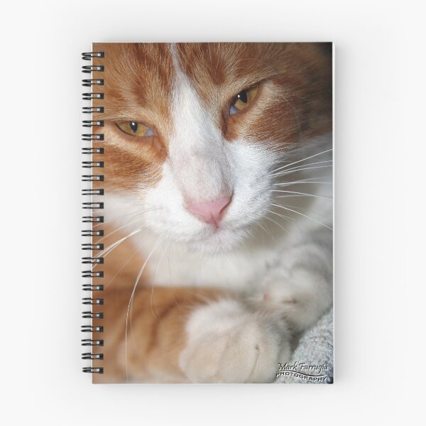 Item preview, Sleepy designed and sold by Mark Farrugia.