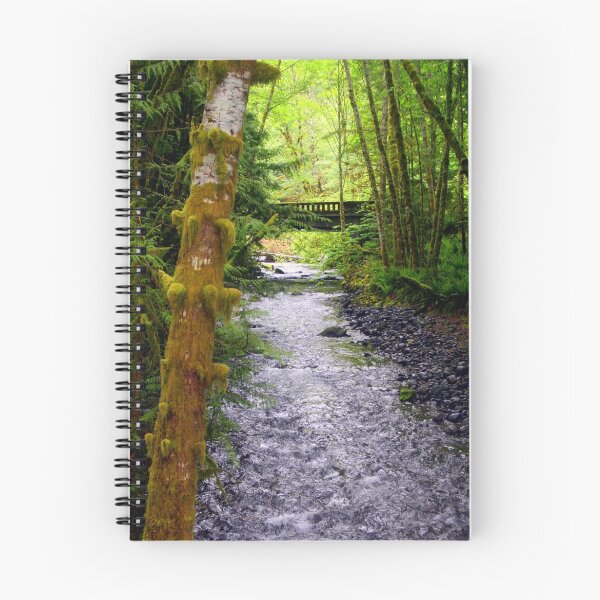 Item preview, "Spring Run Off" designed and sold by Lynn Bawden.