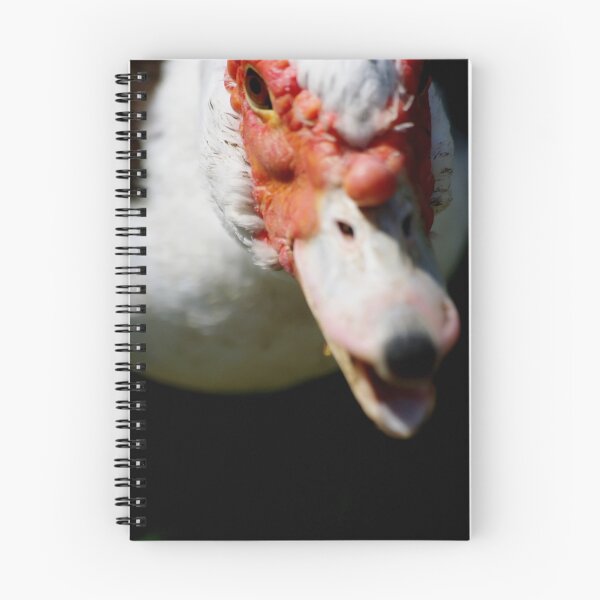 Item preview, Inquisitive designed and sold by Tamara  Kenneally.