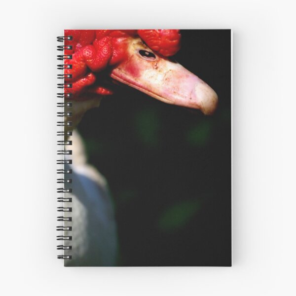 Item preview, Beak designed and sold by Tamara  Kenneally.