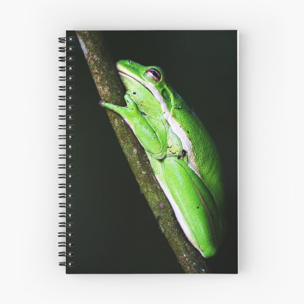 Item preview, Tree Frog designed and sold by Paulette1021.