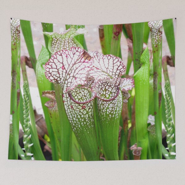 Item preview, Happy Together designed and sold by Betty Mackey.