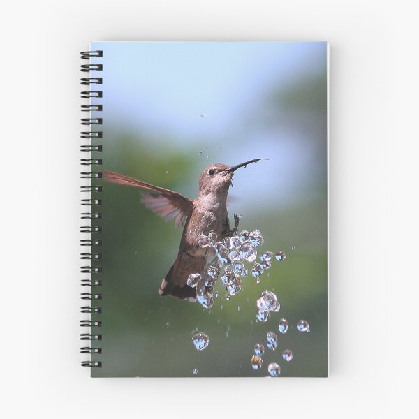 Item preview, Bathing Kolibri designed and sold by zzsuzsa.