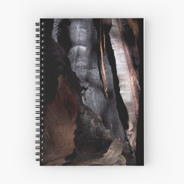 Item preview, Burned Sequoia  designed and sold by Mark Ramstead.