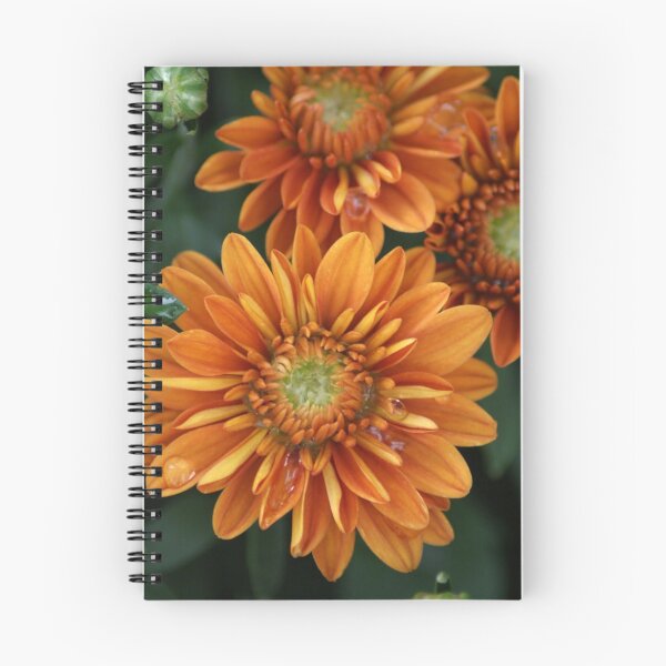 Item preview, Rainy Autumn Mums designed and sold by crystalventerseye.
