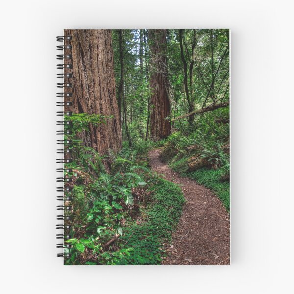 Item preview, Redwood National Park - Tall Tree Grove Trail designed and sold by JThill.