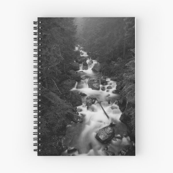 Item preview, Mount Rainier National Park - Water in BW designed and sold by JThill.