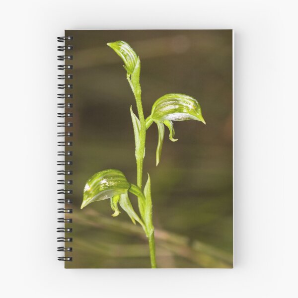 Item preview, Green Hooded Orchid designed and sold by ceecee.