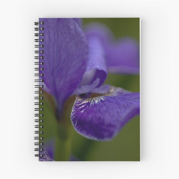 Item preview, The Morning of the Day  designed and sold by Carl Gaynor.