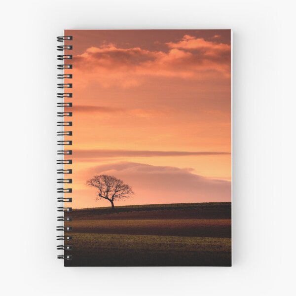 Item preview, Nature... on the level... designed and sold by David Mould.