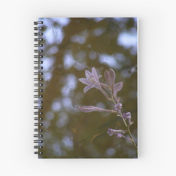 Item preview, Reflection designed and sold by elasita.