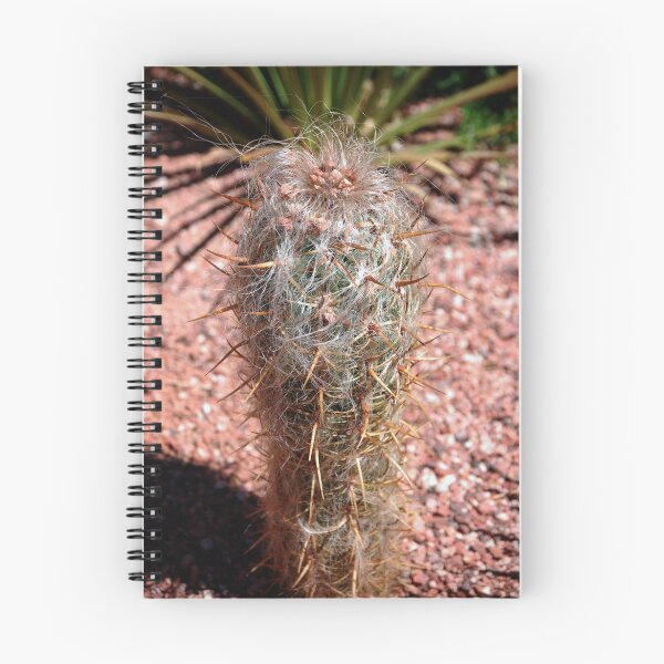 Item preview, Old Man Cactus designed and sold by Stormygirl.