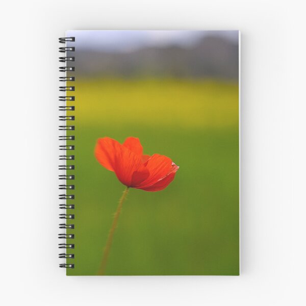 Artikelvorschau, Lensbaby poppy 02 entworfen und verkauft von Barry Culling.
