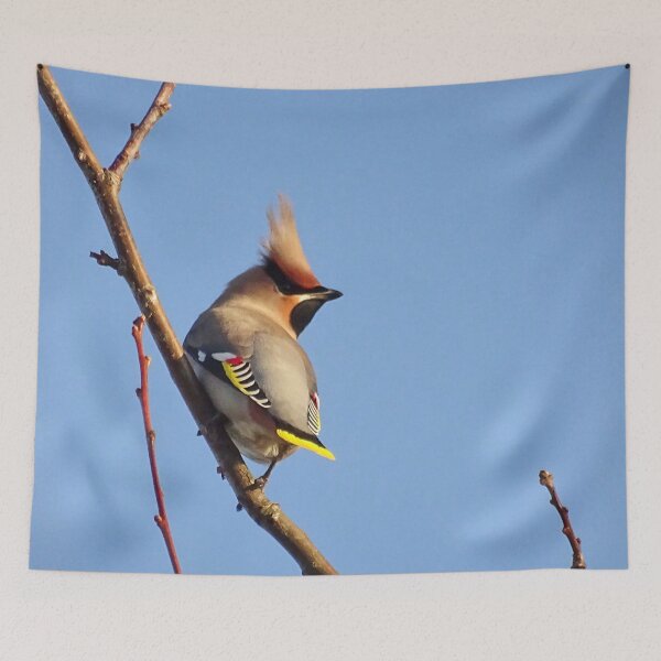 Item preview, Waxwing designed and sold by EllieofSkye.