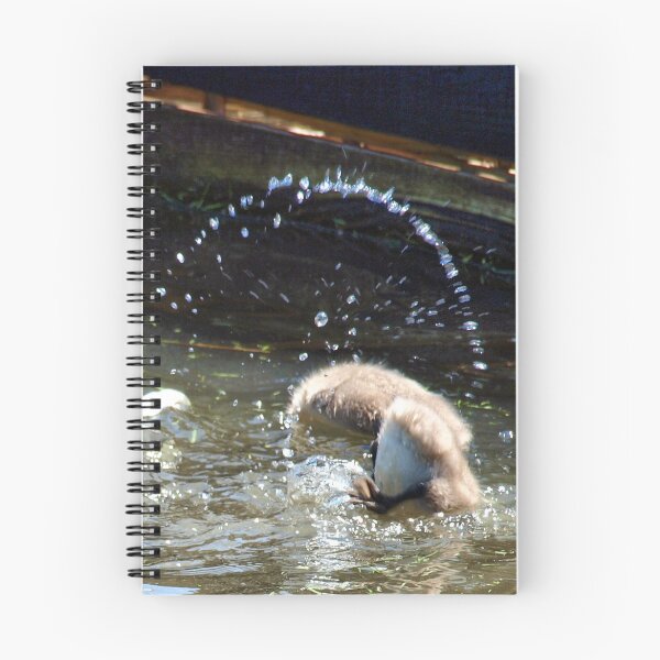 Item preview, Doing the Backflip designed and sold by Clive.
