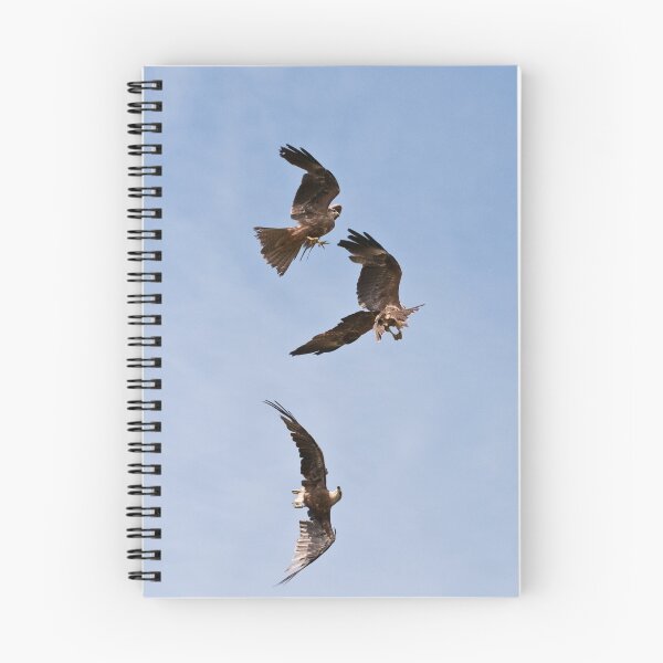 Item preview, Red Kites - Cotswold Falconry Centre designed and sold by Sue Earnshaw.