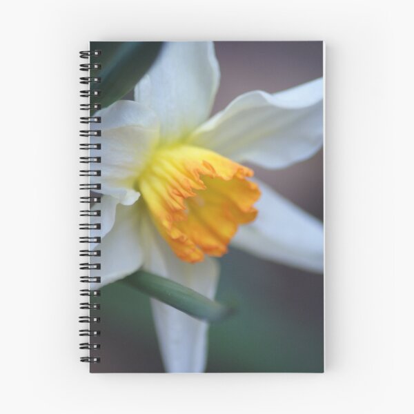 Item preview, White Daffodil designed and sold by crystalventerseye.