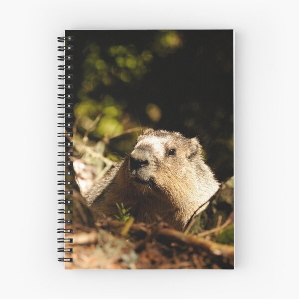 Item preview, Reminiscent designed and sold by Chey Murray.