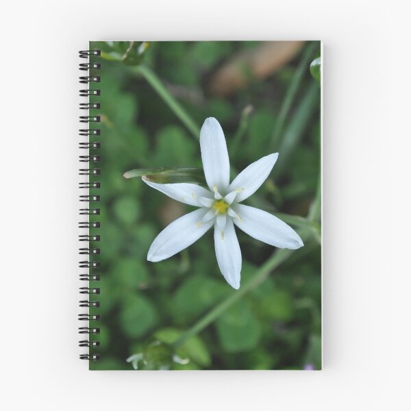 Item preview, White Star designed and sold by michaelasamples.