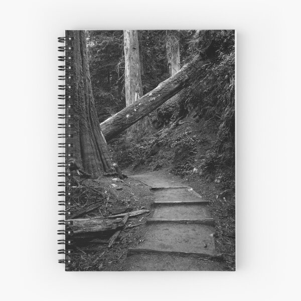 Item preview, Mount Rainier National Park - Up the Steps and Through the Woods designed and sold by JThill.